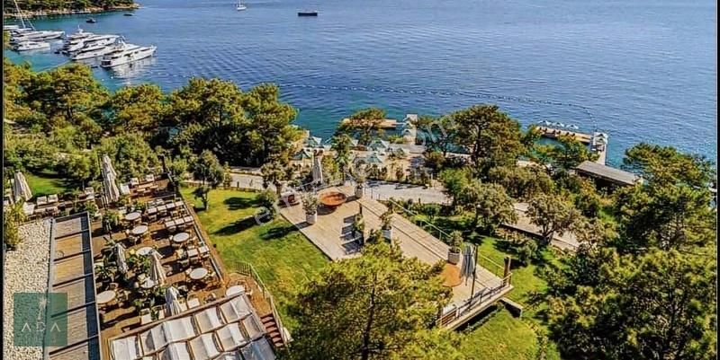 Nef Gölköy Satılık Denize Sıfır 4+1 Villa - Görsel 2