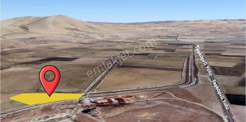 Afyon-sultandağı-taşköprü Köyü'ne 1.6 Km Yakın 7.533m² Tarla - Görsel 3