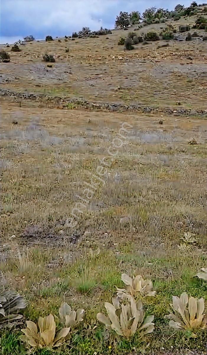 Kiziloren De Müstakil Tapulu Satılık Tarla - Görsel 5