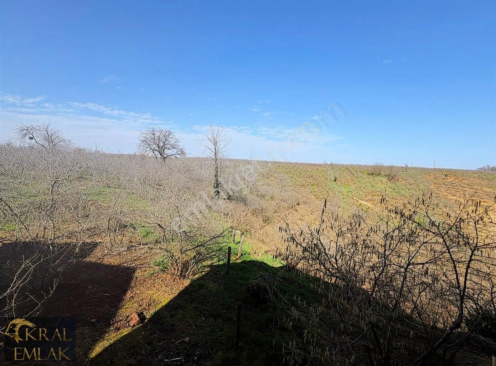 Döngeli De Doğa Manzaralı 3 Katlı Eşyalı 5+1 Satılık Triblex Ev - Görsel 33