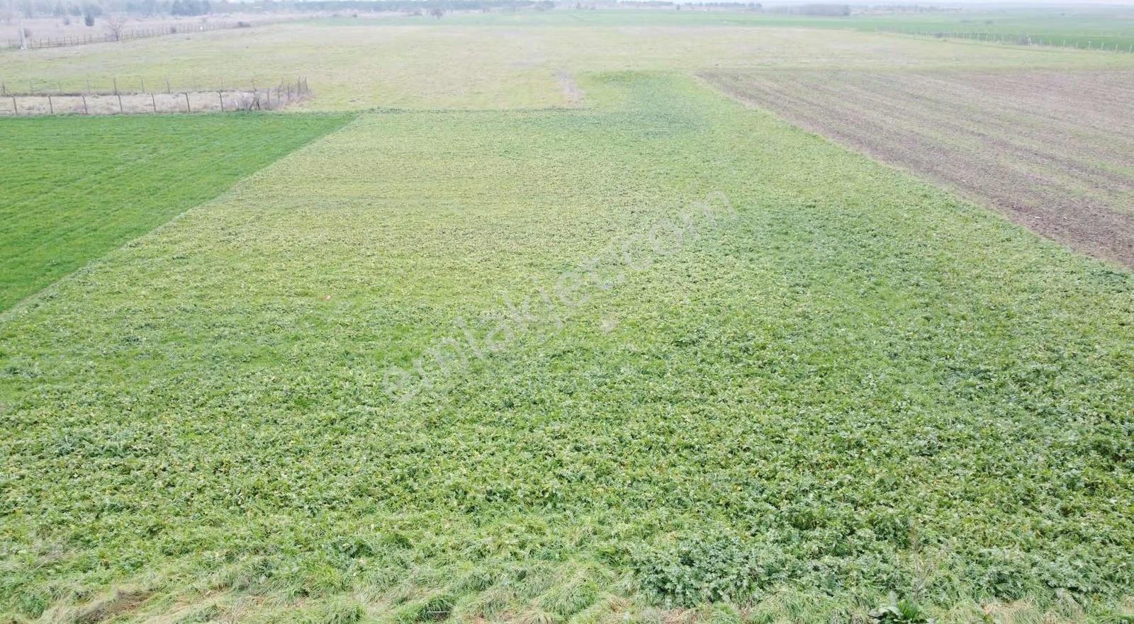 Dindoğru Mahallesi Satılık Konut İmarlı Arsa - Görsel 7