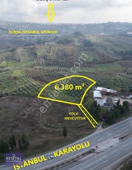 Dürdane Köyü Satılık İncir & Zeytin Bahçesi - Anayol Kenarında - Görsel 2