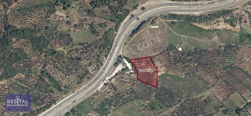 Dürdane Köyü Satılık İncir & Zeytin Bahçesi - Anayol Kenarında - Görsel 3