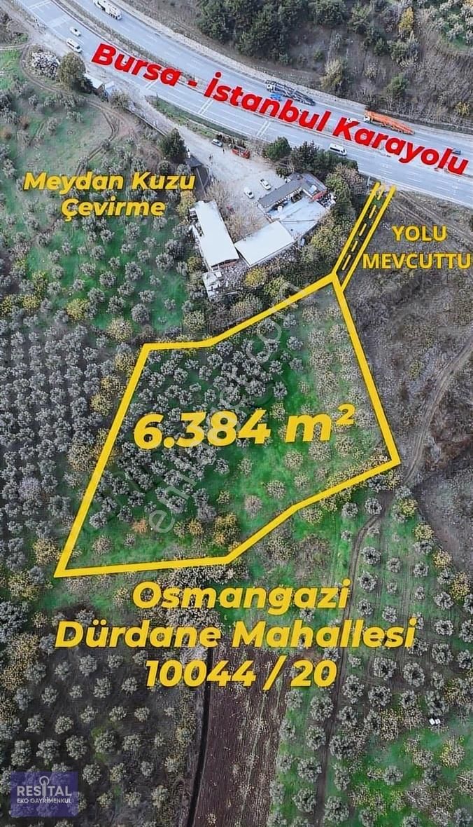 Dürdane Köyü Satılık İncir & Zeytin Bahçesi - Anayol Kenarında - Görsel 4