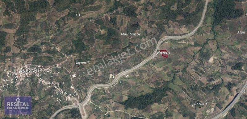 Dürdane Köyü Satılık İncir & Zeytin Bahçesi - Anayol Kenarında