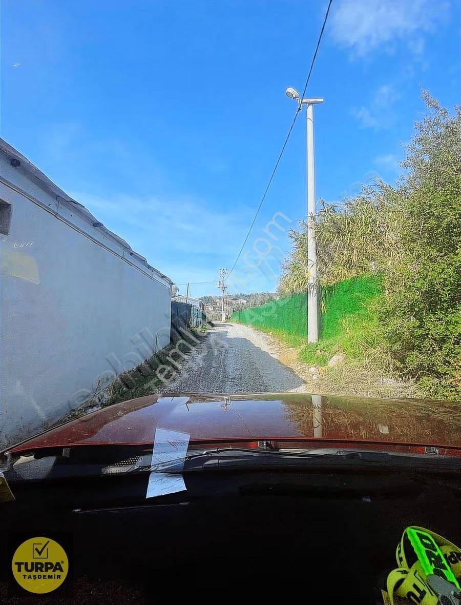 Torbalı Çapak Mah. Acil Satılık Zeytinlik Tarla (3889 M²) - Görsel 29