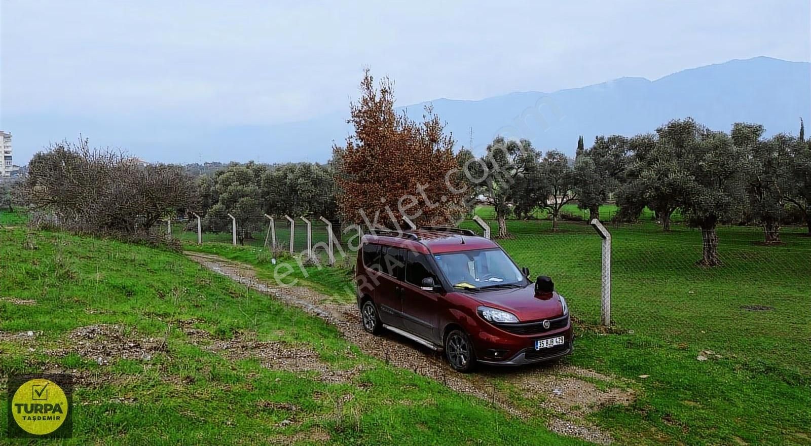 Ödemiş Gölcük (zeytinlik) Mah. 7631 M² Satılık Zeytinlik Tarla - Görsel 21