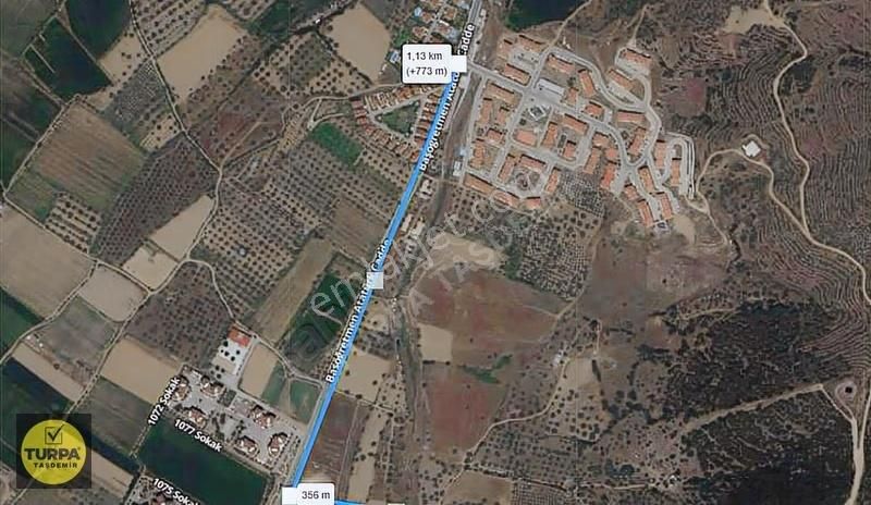 Ödemiş Gölcük (zeytinlik) Mah. 7631 M² Satılık Zeytinlik Tarla - Görsel 5