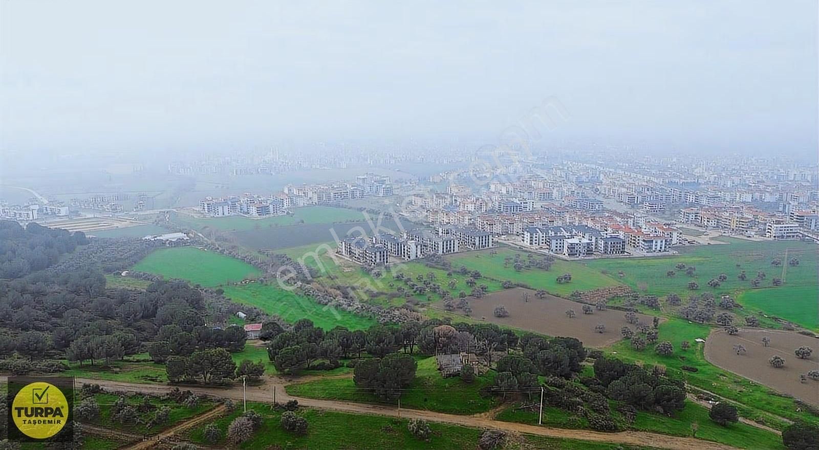 Ödemiş Gölcük (zeytinlik) Mah. 7631 M² Satılık Zeytinlik Tarla - Görsel 13