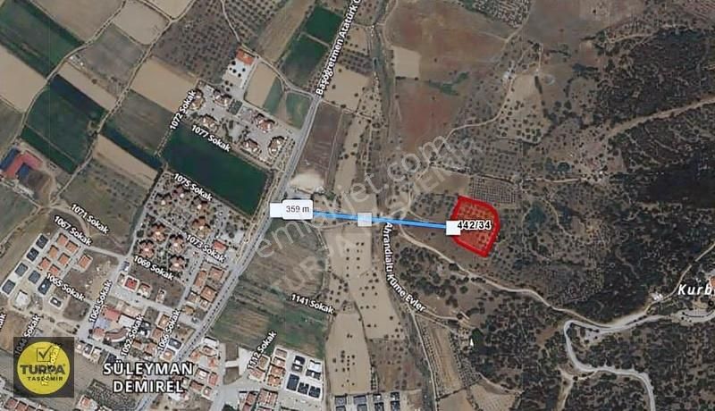 Ödemiş Gölcük (zeytinlik) Mah. 7631 M² Satılık Zeytinlik Tarla - Görsel 25