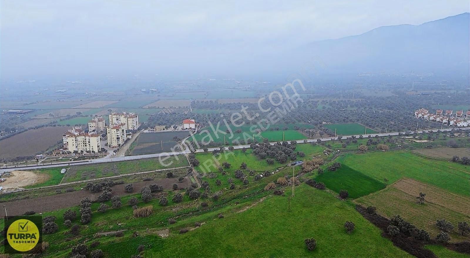 Ödemiş Gölcük (zeytinlik) Mah. 7631 M² Satılık Zeytinlik Tarla - Görsel 24