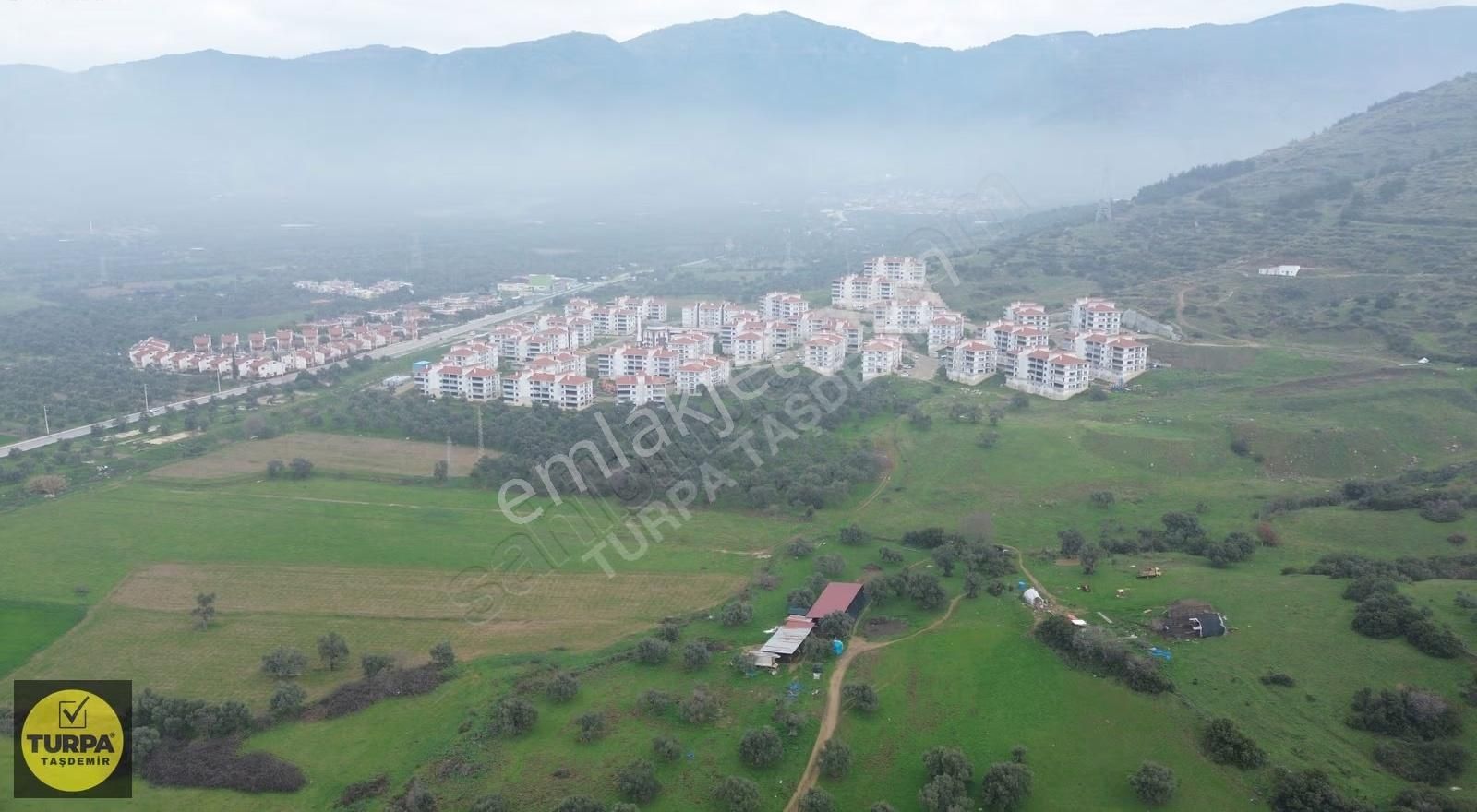 Ödemiş Gölcük (zeytinlik) Mah. 7631 M² Satılık Zeytinlik Tarla - Görsel 14