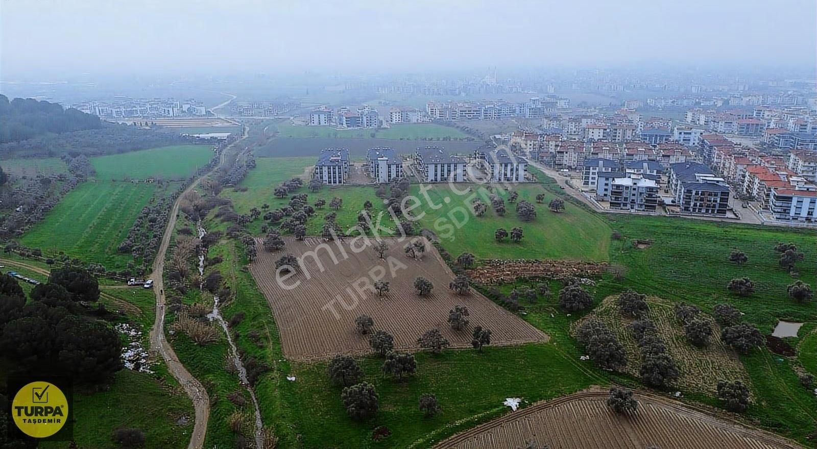 Ödemiş Gölcük (zeytinlik) Mah. 7631 M² Satılık Zeytinlik Tarla - Görsel 23