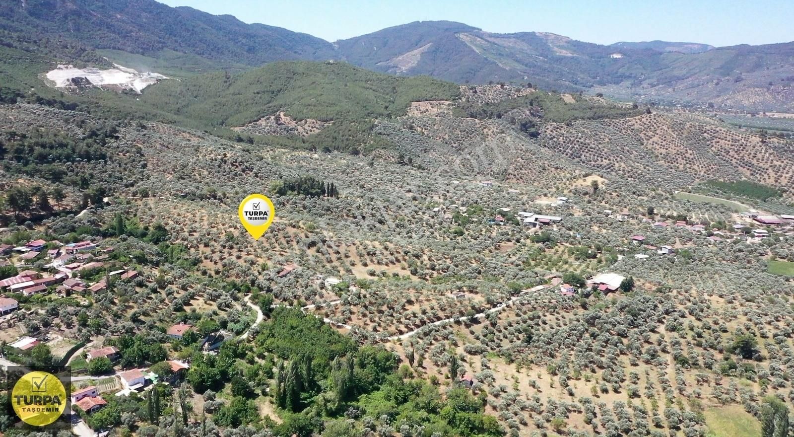Turpa Taşdemirden Tire Küçükkale'de Satılık 22.559 M2 Zeytinlik - Görsel 13