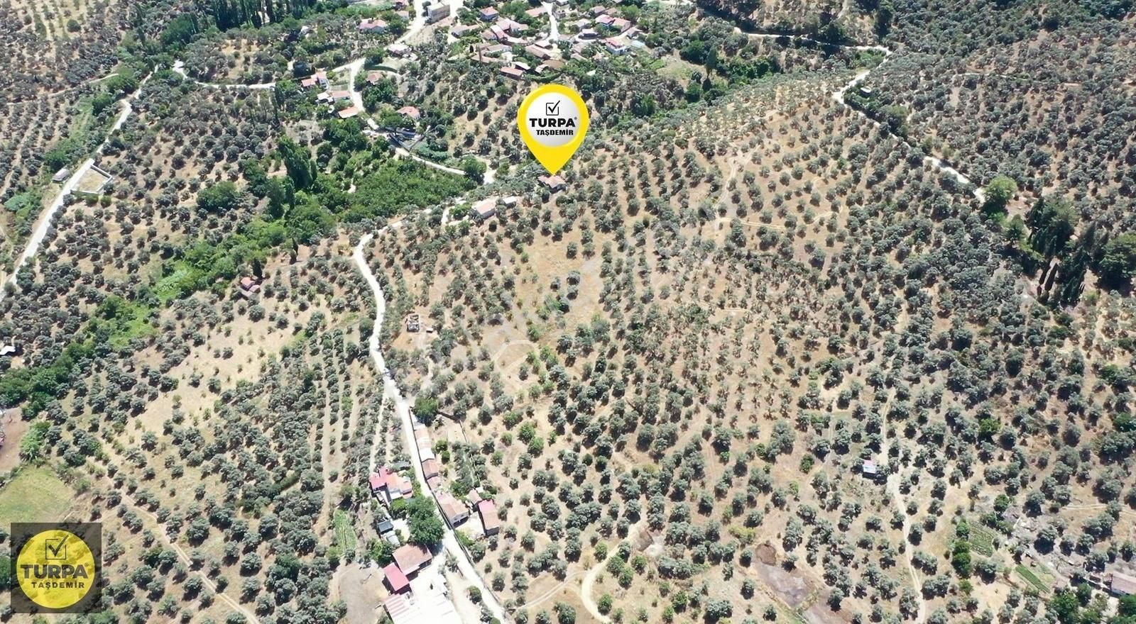 Turpa Taşdemirden Tire Küçükkale'de Satılık 22.559 M2 Zeytinlik - Görsel 6