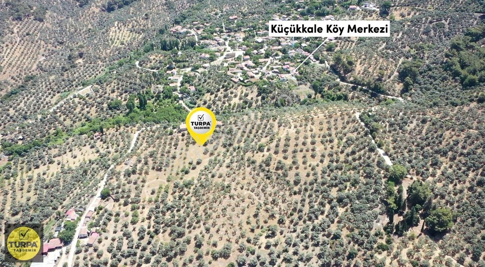 Turpa Taşdemirden Tire Küçükkale'de Satılık 22.559 M2 Zeytinlik - Görsel 25