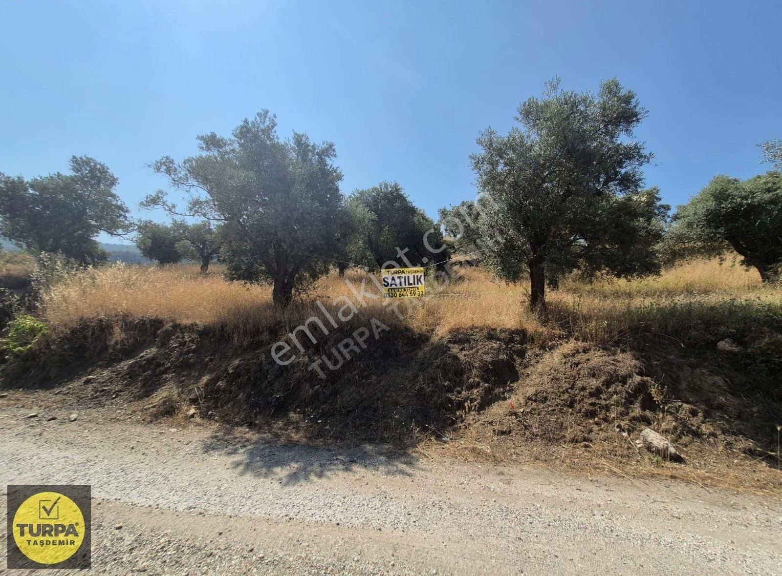 Turpa Taşdemirden Tire Küçükkale'de Satılık 22.559 M2 Zeytinlik - Görsel 16