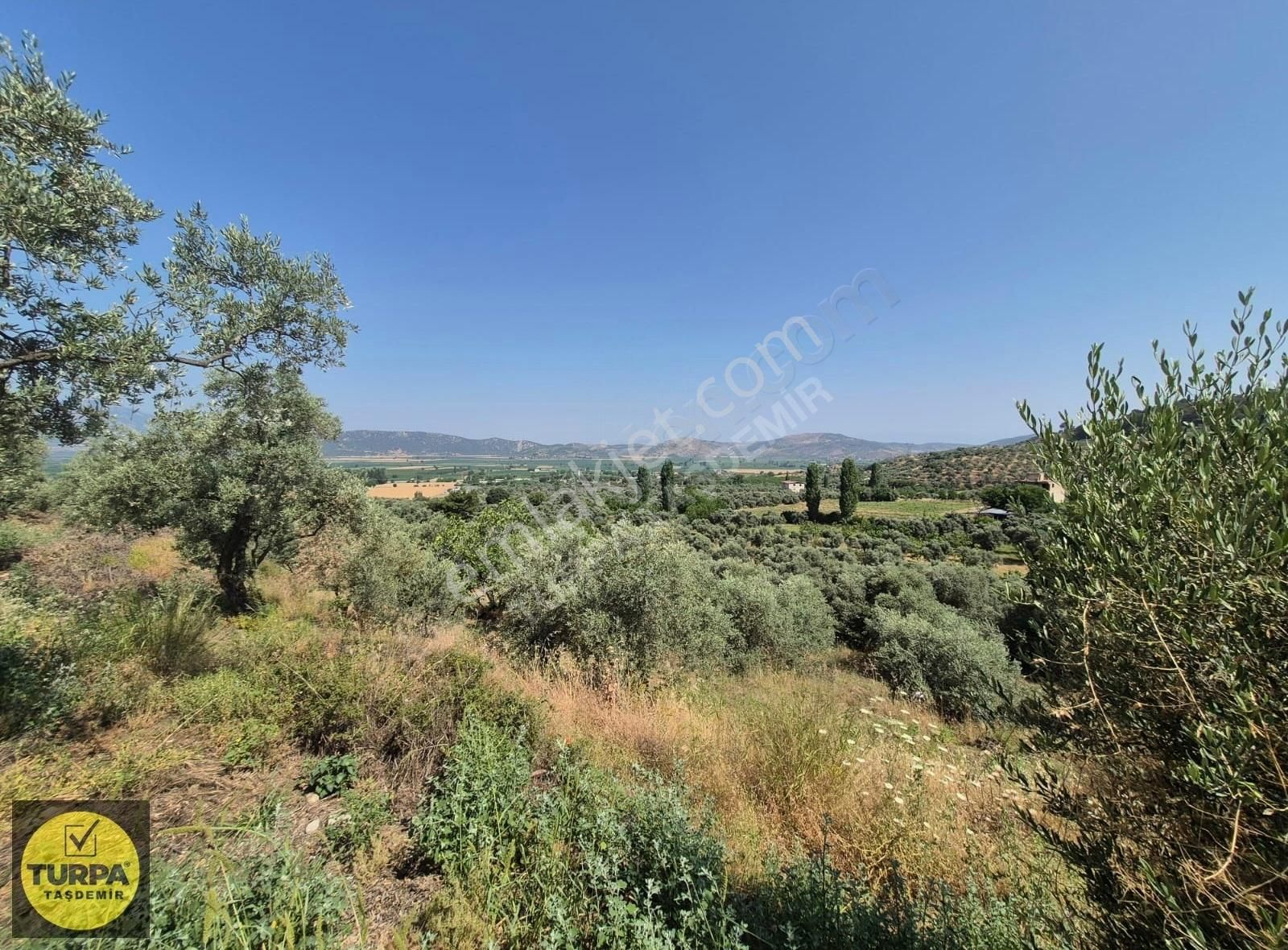 Turpa Taşdemirden Tire Küçükkale'de Satılık 22.559 M2 Zeytinlik - Görsel 10