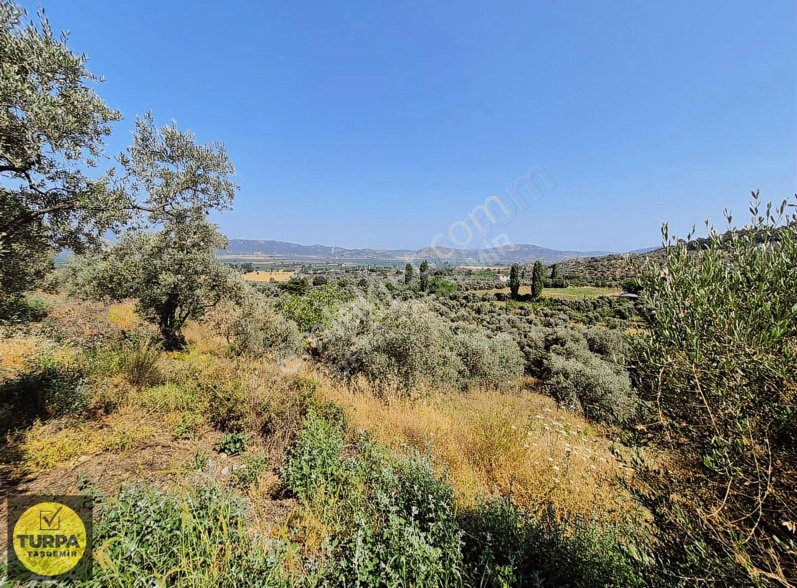 Turpa Taşdemirden Tire Küçükkale'de Satılık 22.559 M2 Zeytinlik - Görsel 17
