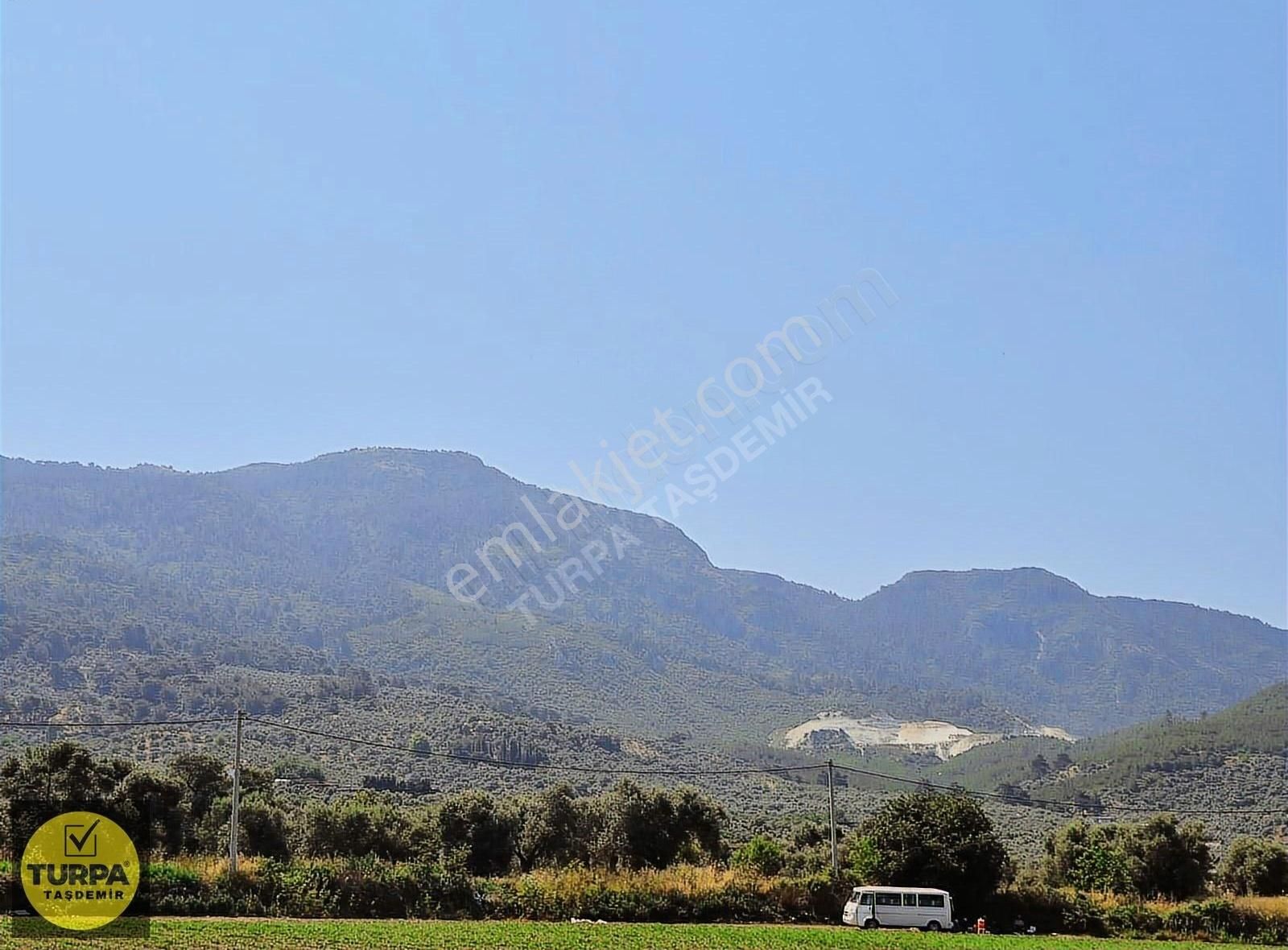 Turpa Taşdemirden Tire Küçükkale'de Satılık 22.559 M2 Zeytinlik - Görsel 12