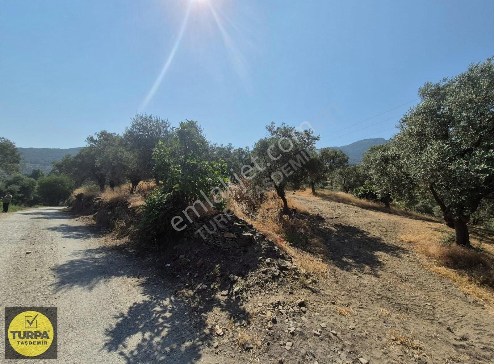 Turpa Taşdemirden Tire Küçükkale'de Satılık 22.559 M2 Zeytinlik - Görsel 22