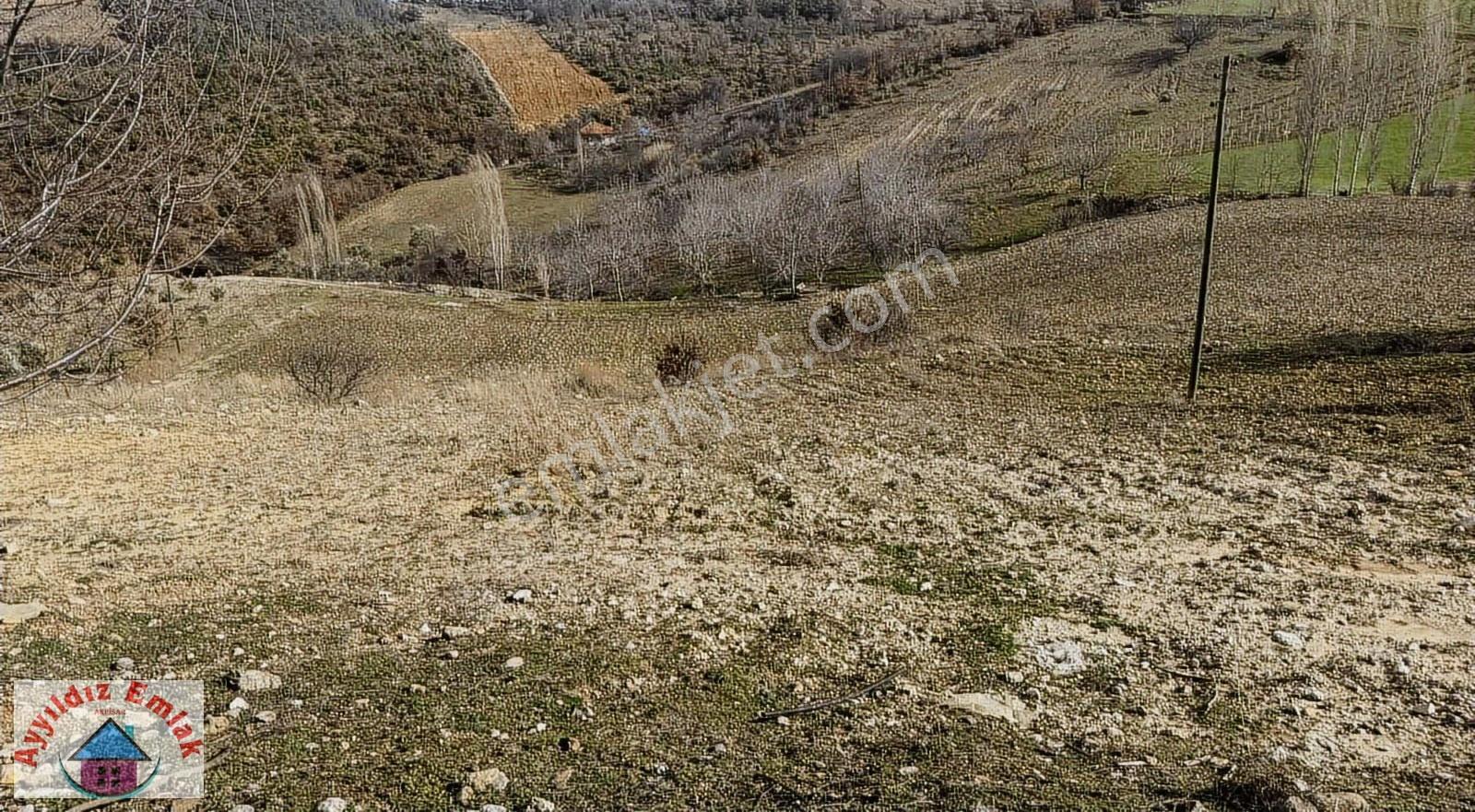 Kömürcü Mahallesinde Yola Cepheli Boş Tarla - Görsel 24