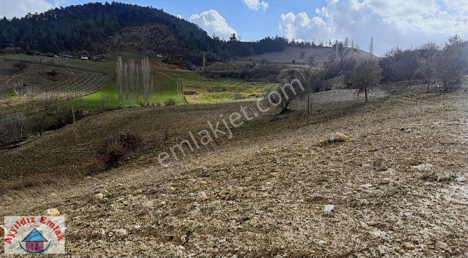 Kömürcü Mahallesinde Yola Cepheli Boş Tarla - Görsel 21