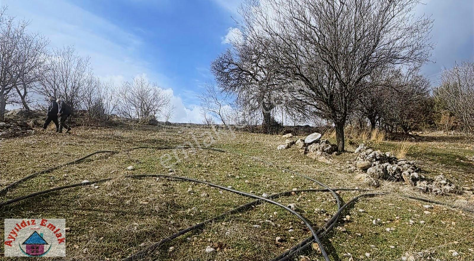 Kömürcü Mahallesinde Yola Cepheli Boş Tarla - Görsel 25