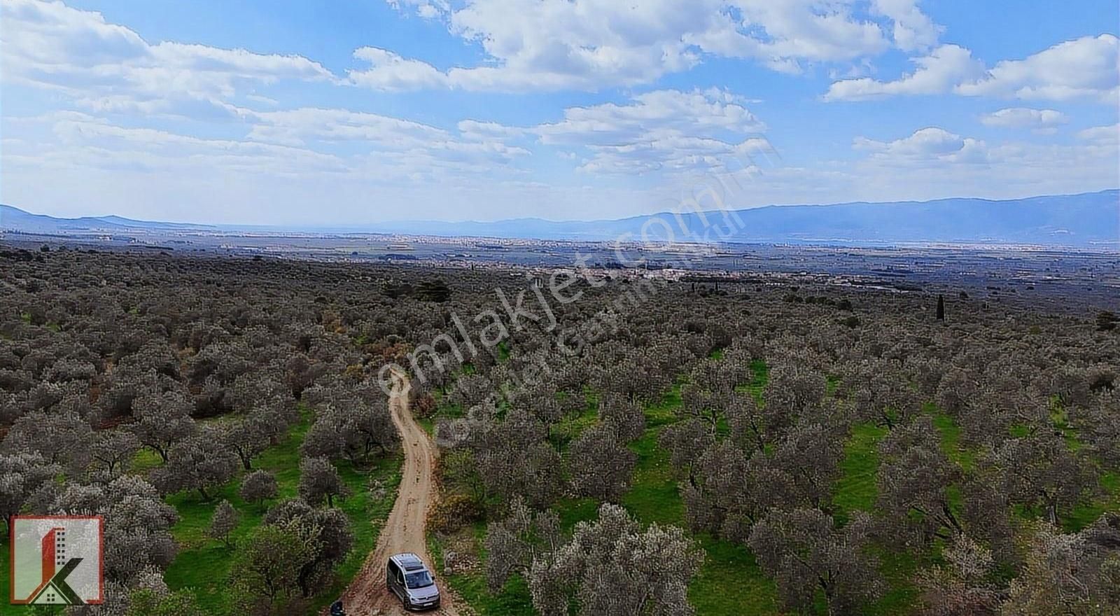 Koçerler'den Burhaniye Kızıklı Köyün'de 3034m2 Satılık Zeytinlik - Görsel 13