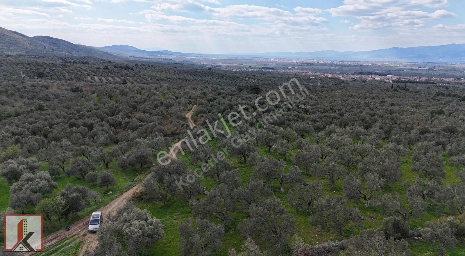 Koçerler'den Burhaniye Kızıklı Köyün'de 3034m2 Satılık Zeytinlik - Görsel 31