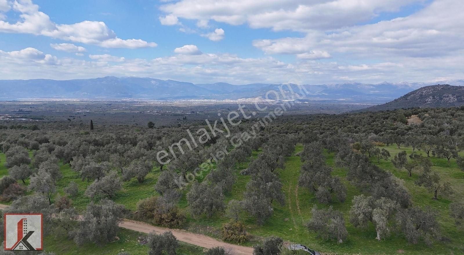 Koçerler'den Burhaniye Kızıklı Köyün'de 3034m2 Satılık Zeytinlik - Görsel 21