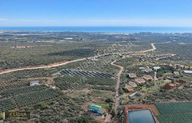 Erdemli Ayaş 1.500 M2 Satılık Arsa - Görsel 8