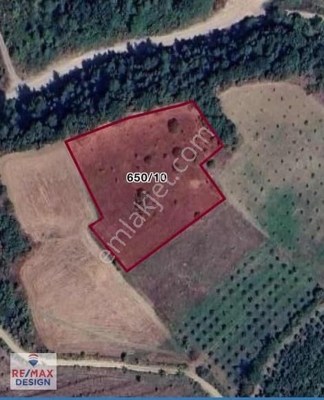 Sakarya Geyve İlçesi Burhaniye Mah. Satılık Tarla - Görsel 3