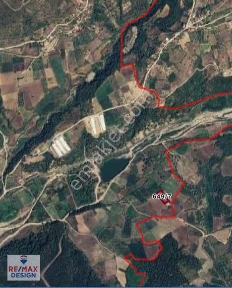 Sakarya Geyve İlçesi Burhaniye Mah Satılık Tarla - Görsel 2