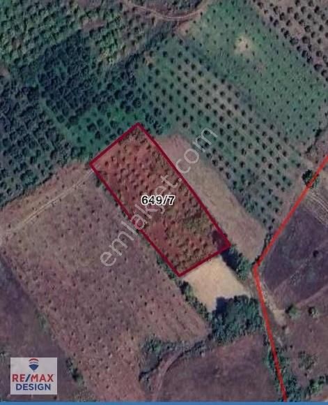 Sakarya Geyve İlçesi Burhaniye Mah Satılık Tarla - Görsel 3