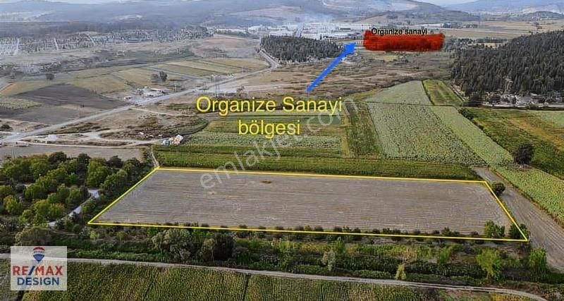 Sakarya Tekeler Yatırımlık 1.595 M2 Tarla - Görsel 5