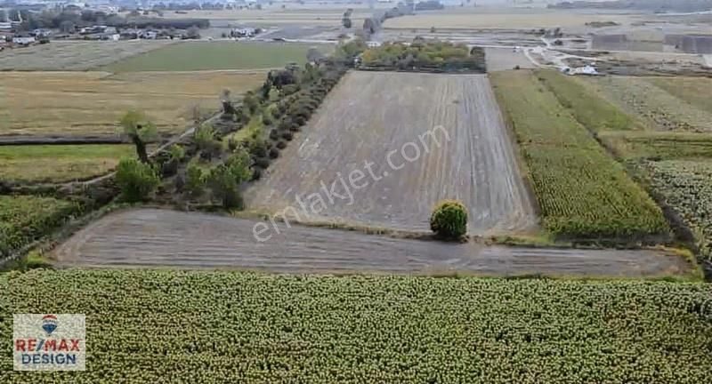 Sakarya Tekeler Yatırımlık 1.595 M2 Tarla - Görsel 2