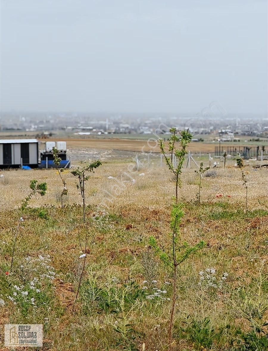 Meram Gödene Mah.konya Manzaralı Satılık İntikal Tapu Bahçe