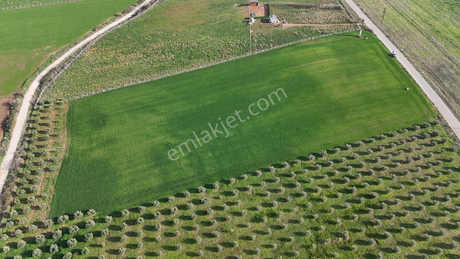 Oğlananası Menderes Arasında 16 Dönüm Tek Tapu Elektrik Su Depo İnşaat İzmir - Görsel 21