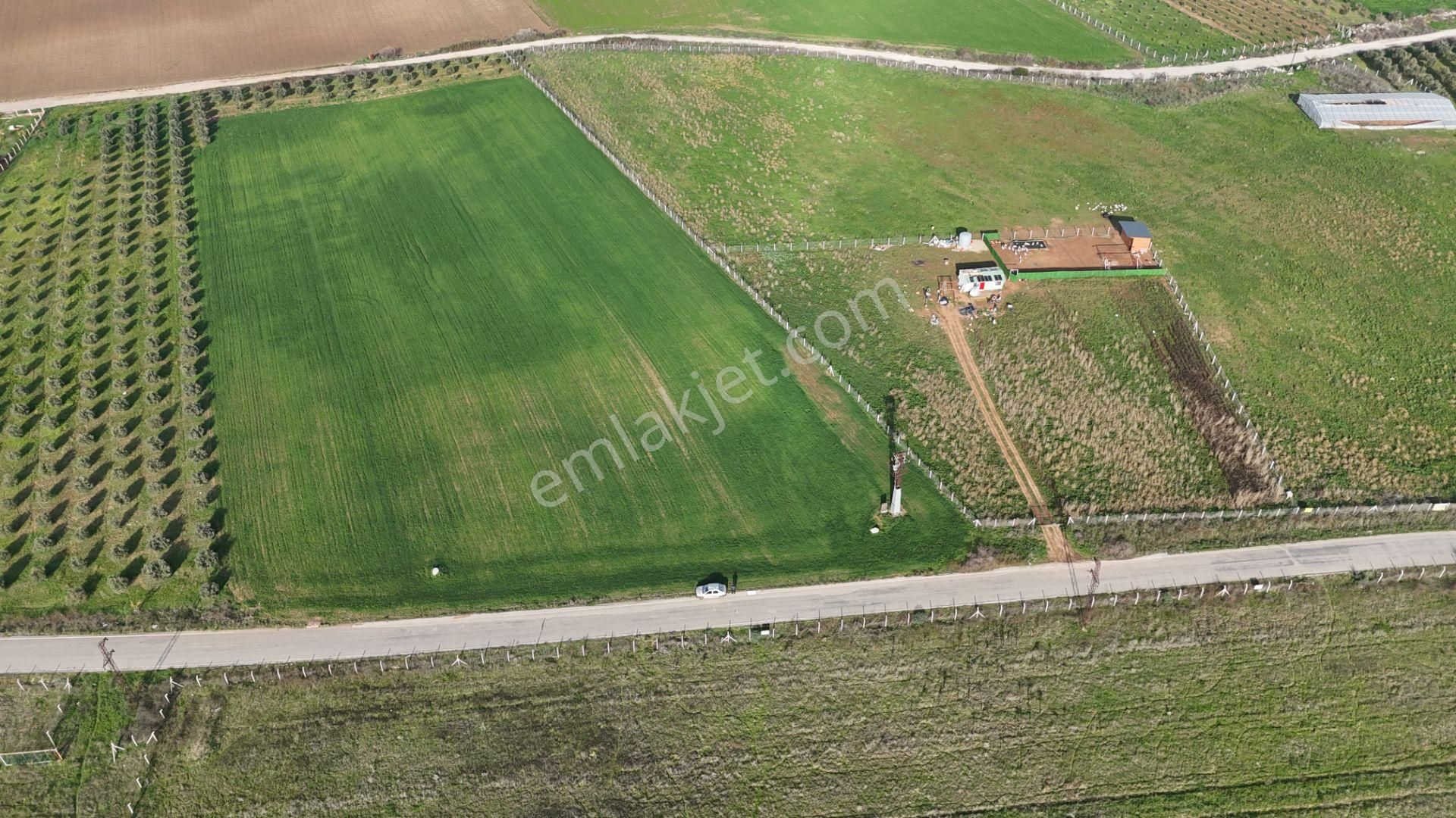 Oğlananası Menderes Arasında 16 Dönüm Tek Tapu Elektrik Su Depo İnşaat İzmir - Görsel 34