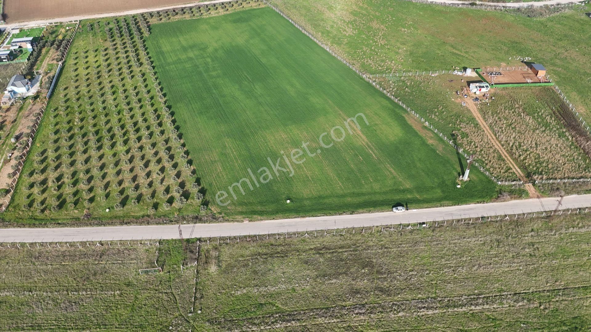 Oğlananası Menderes Arasında 16 Dönüm Tek Tapu Elektrik Su Depo İnşaat İzmir - Görsel 5