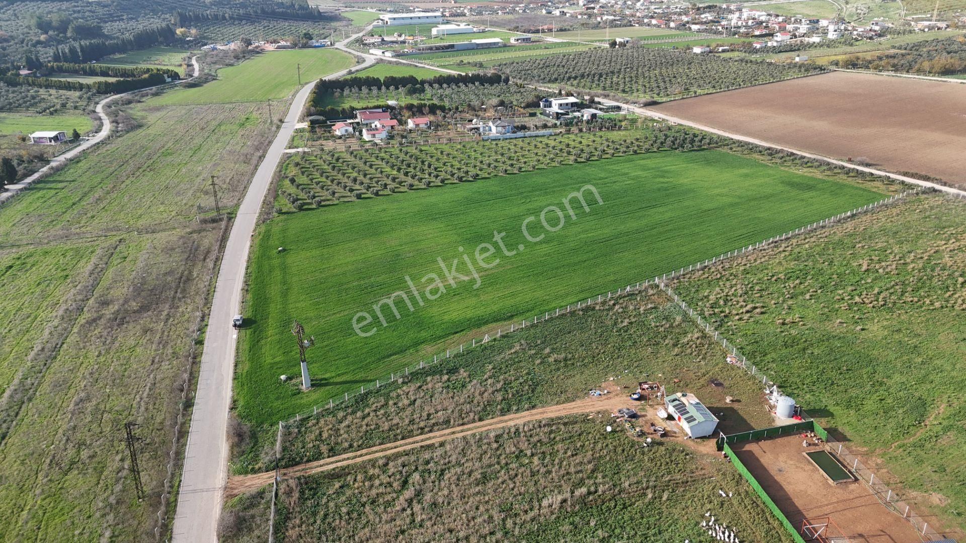 Oğlananası Menderes Arasında 16 Dönüm Tek Tapu Elektrik Su Depo İnşaat İzmir - Görsel 25