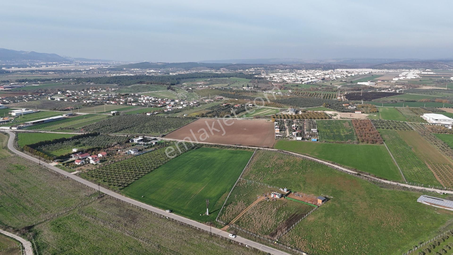 Oğlananası Menderes Arasında 16 Dönüm Tek Tapu Elektrik Su Depo İnşaat İzmir - Görsel 10