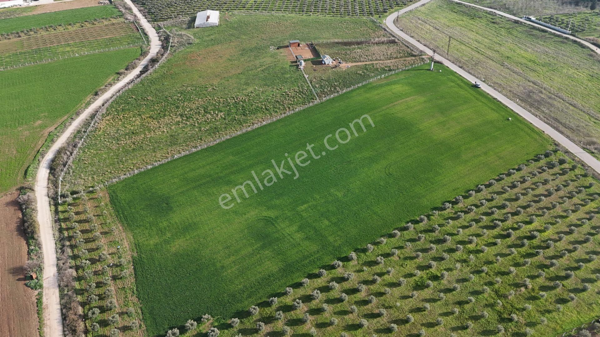 Oğlananası Menderes Arasında 16 Dönüm Tek Tapu Elektrik Su Depo İnşaat İzmir - Görsel 29