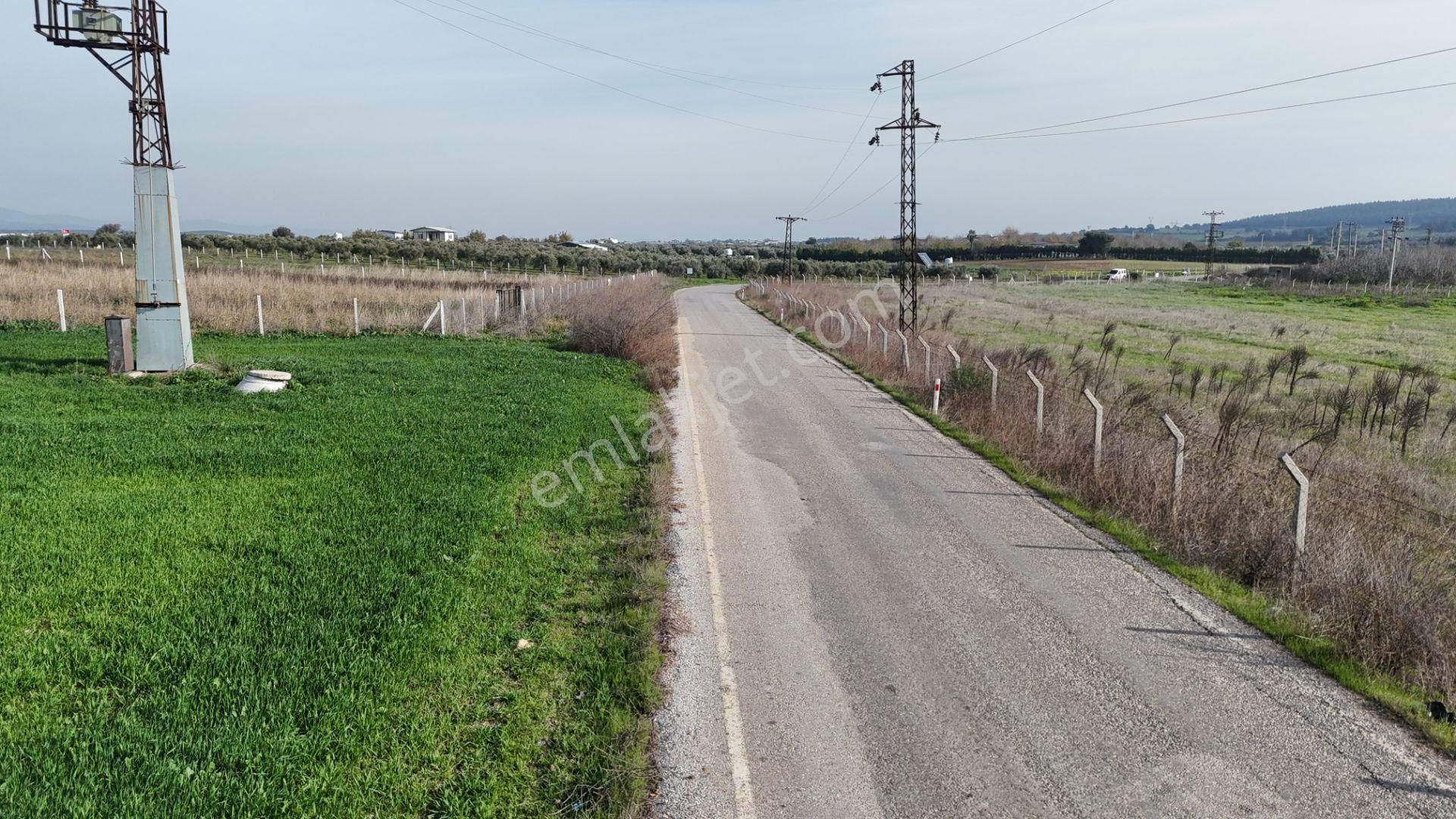 Oğlananası Menderes Arasında 16 Dönüm Tek Tapu Elektrik Su Depo İnşaat İzmir - Görsel 2