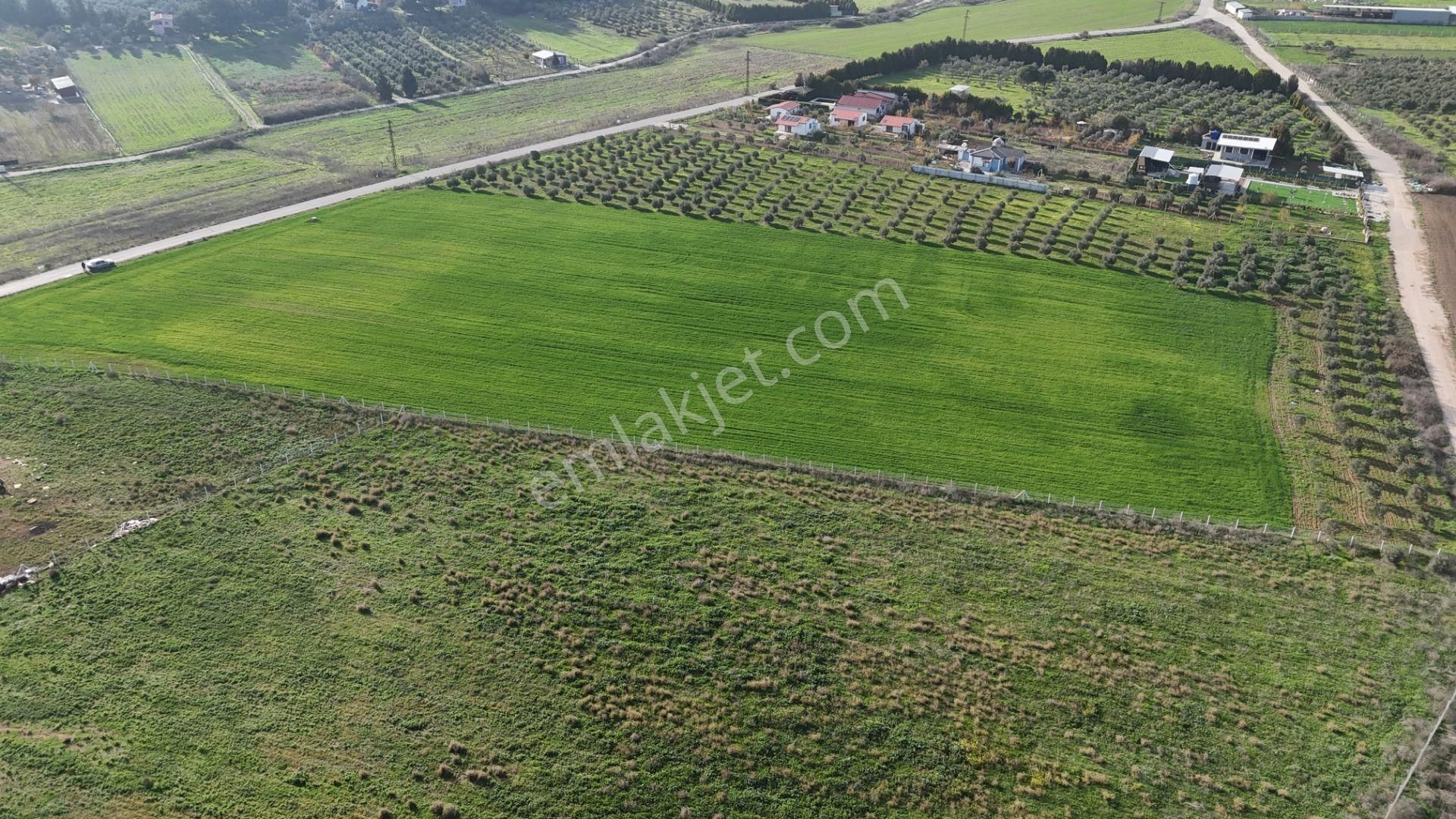 Oğlananası Menderes Arasında 16 Dönüm Tek Tapu Elektrik Su Depo İnşaat İzmir - Görsel 7