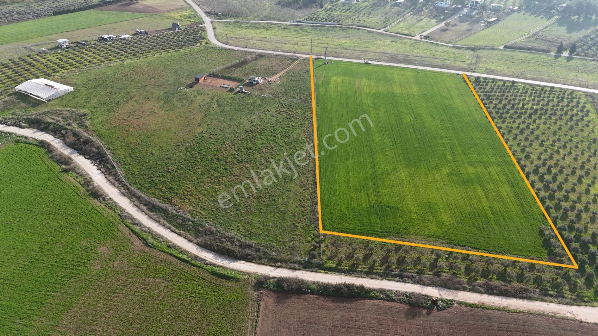 Oğlananası Menderes Arasında 16 Dönüm Tek Tapu Elektrik Su Depo İnşaat İzmir - Görsel 6