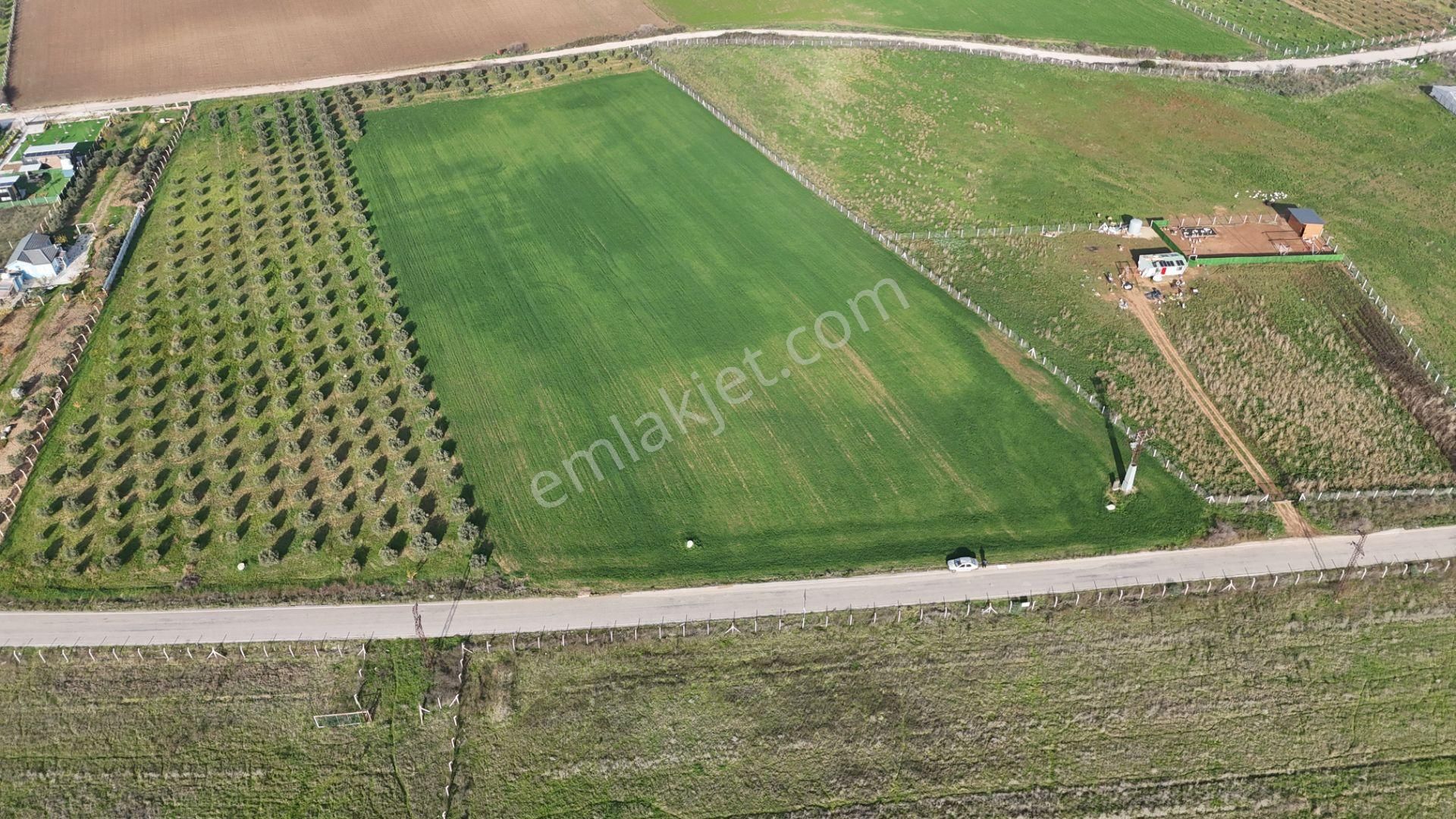 Oğlananası Menderes Arasında 16 Dönüm Tek Tapu Elektrik Su Depo İnşaat İzmir - Görsel 30