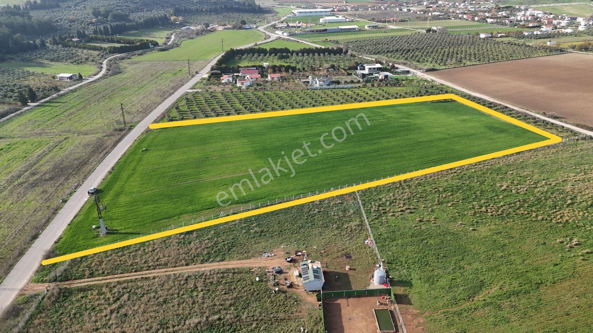 Oğlananası Menderes Arasında 16 Dönüm Tek Tapu Elektrik Su Depo İnşaat İzmir - Görsel 8