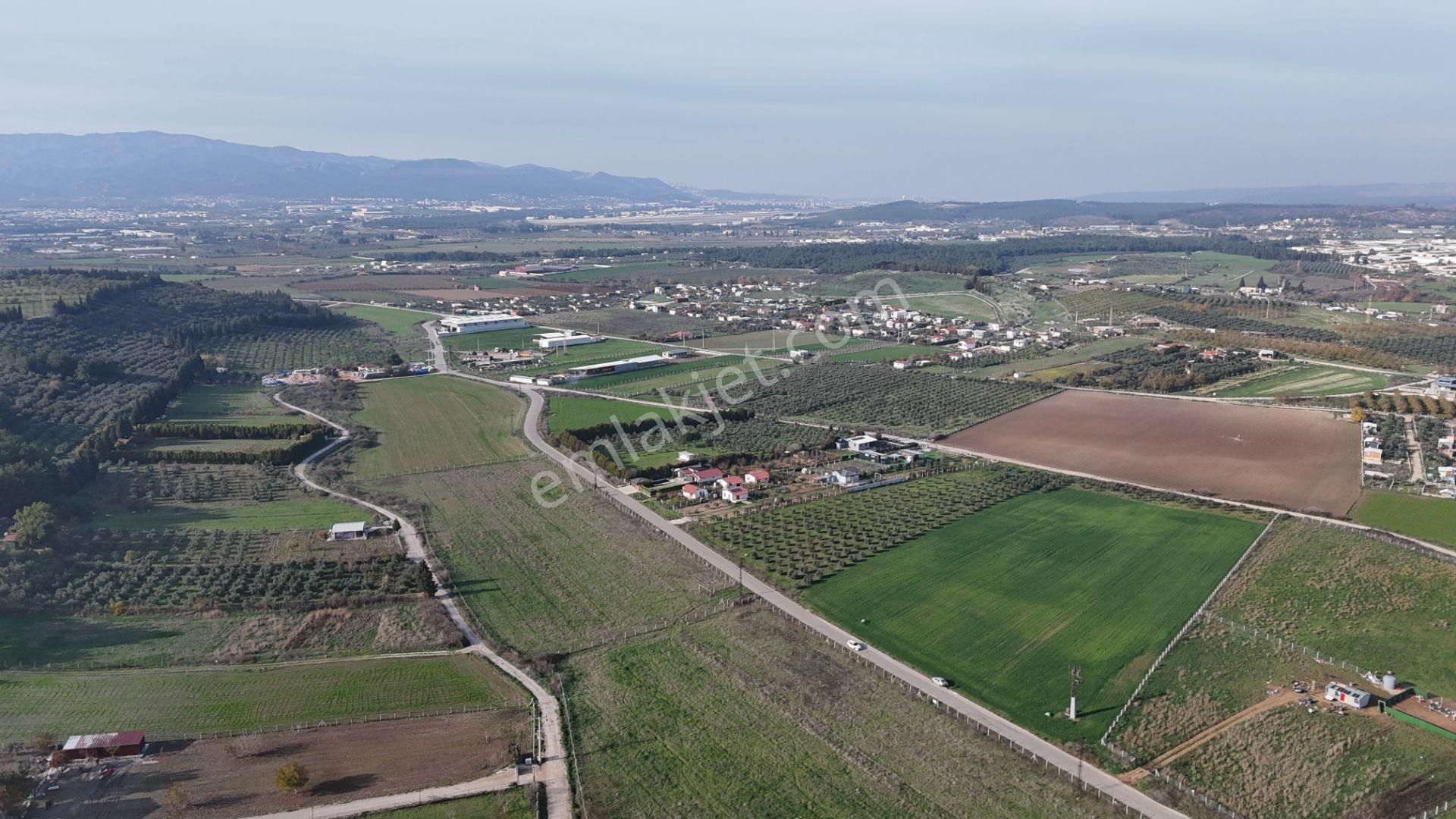 Oğlananası Menderes Arasında 16 Dönüm Tek Tapu Elektrik Su Depo İnşaat İzmir - Görsel 23